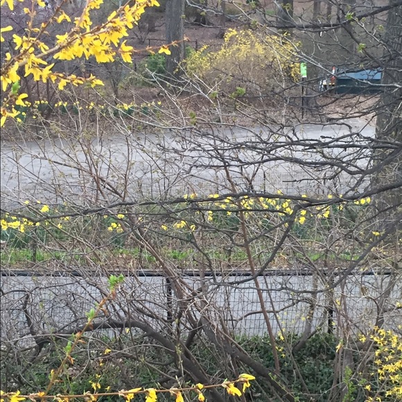 Meet your Posher, Pat - Picture 1 of 1